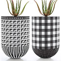 Mosaic planters
